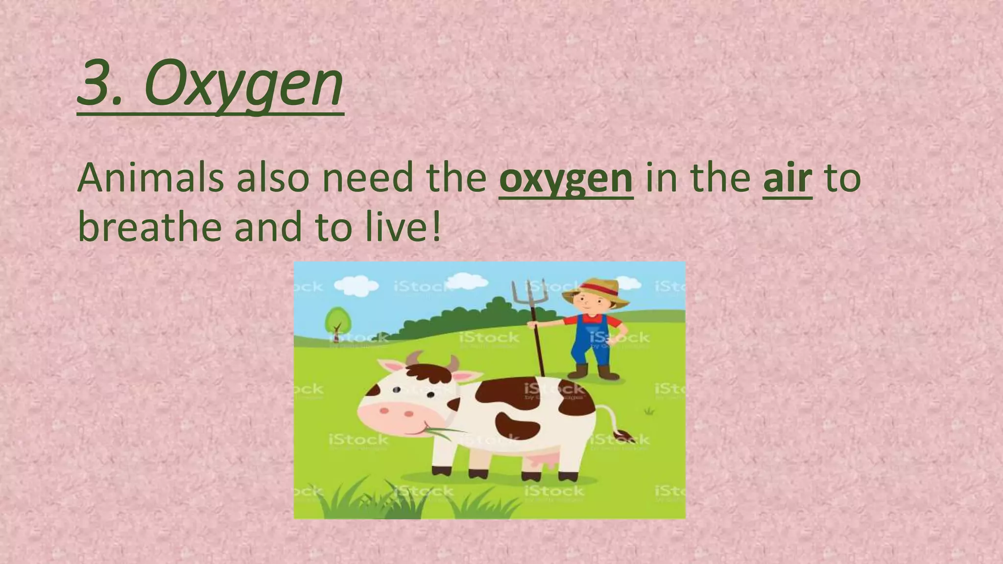 3. Oxygen
Animals also need the oxygen in the air to
breathe and to live!