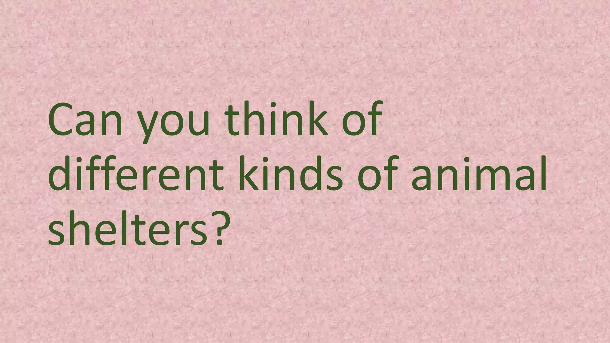 Can you think of
different kinds of animal
shelters?