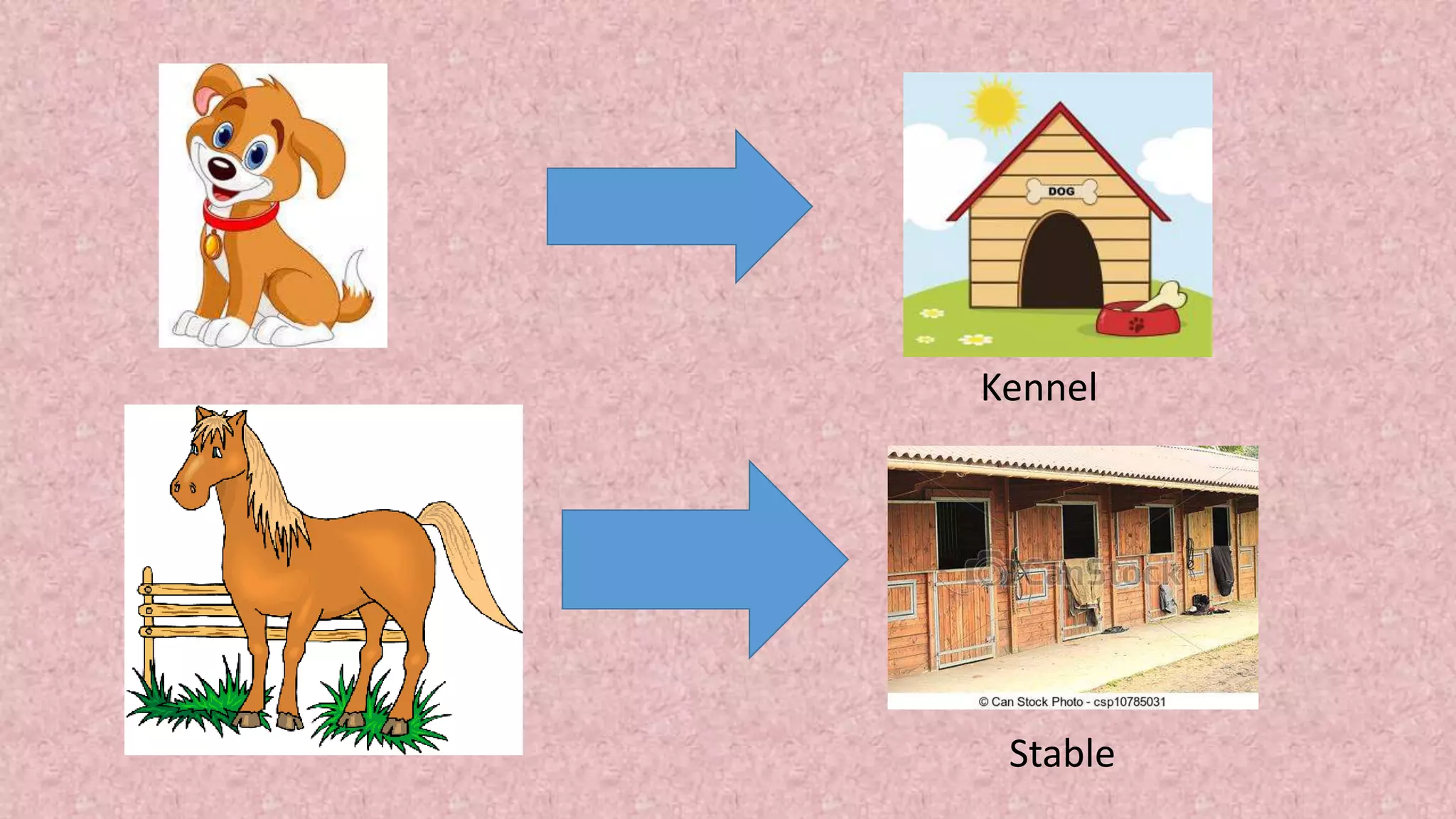 Kennel
Kennel
Stable