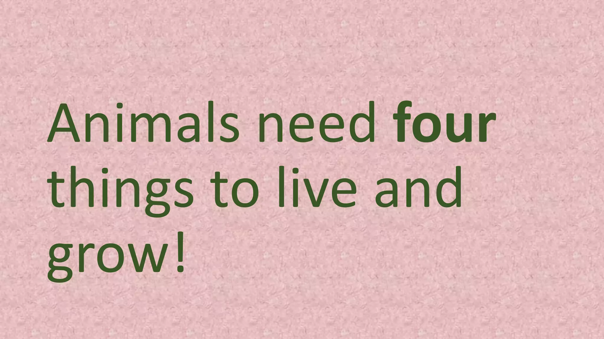 Animals need four
things to live and
grow!