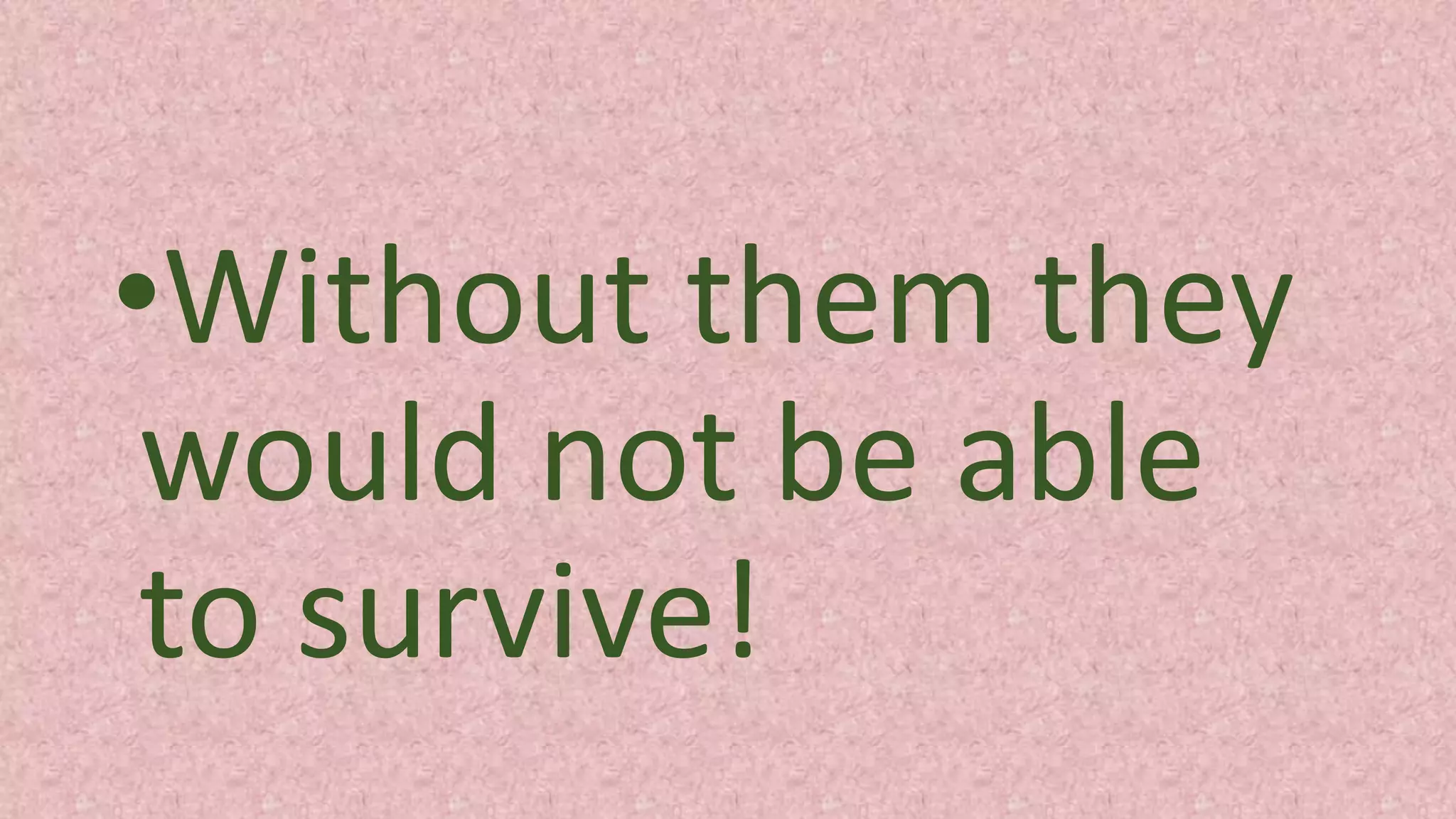 •Without them they
would not be able
to survive!