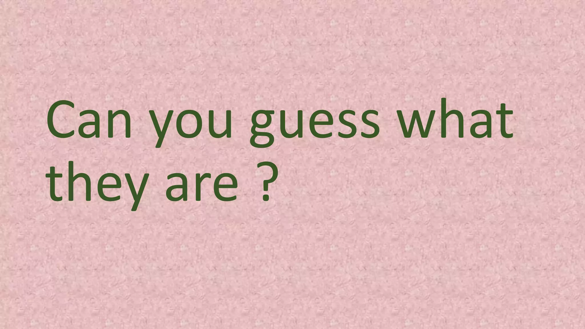 Can you guess what
they are ?