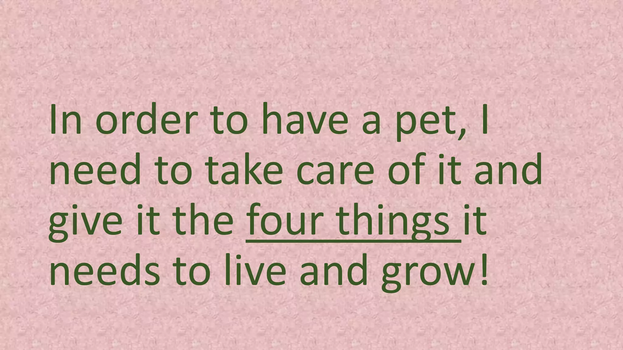 In order to have a pet, I
need to take care of it and
give it the four things it
needs to live and grow!