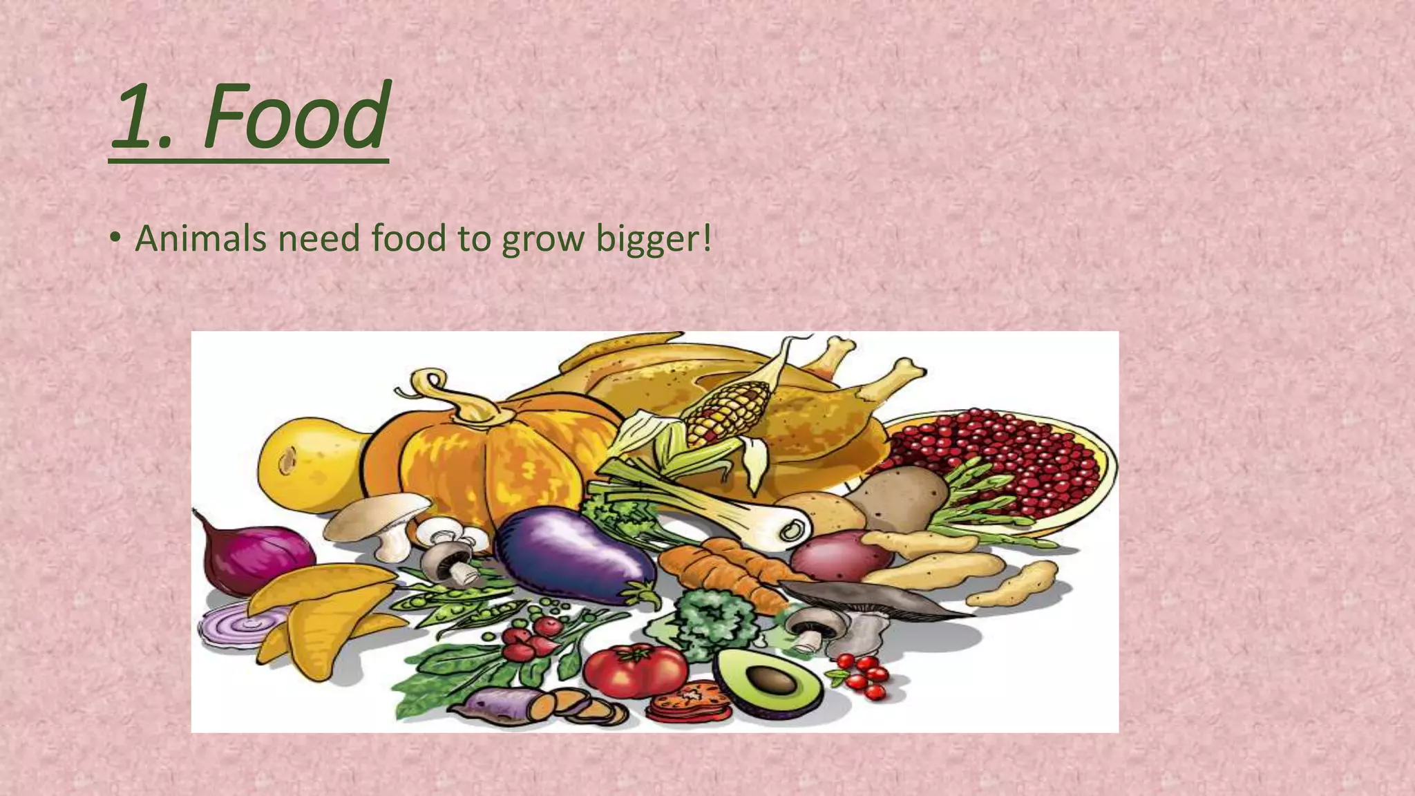 1. Food
• Animals need food to grow bigger!