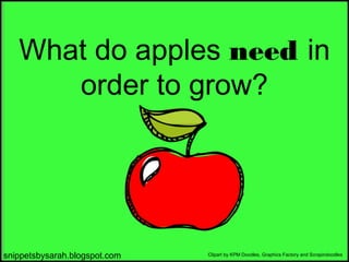 What do apples need in
order to grow?

snippetsbysarah.blogspot.com

Clipart by KPM Doodles, Graphics Factory and Scrapindoodles

 