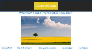 What Does a Data Driven Culture Look Like?
ObservePoint Tag DebuggerData Quality Assurance Tag RequestTag Audit Company
 