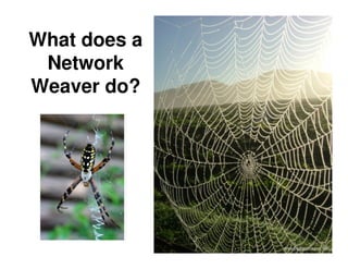 What does a
 Network
Weaver do?
 