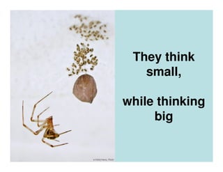 They think
   small,

while thinking
     big
 