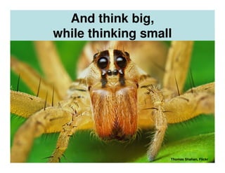 And think big,
while thinking small




                   Thomas Shahan, Flickr
 