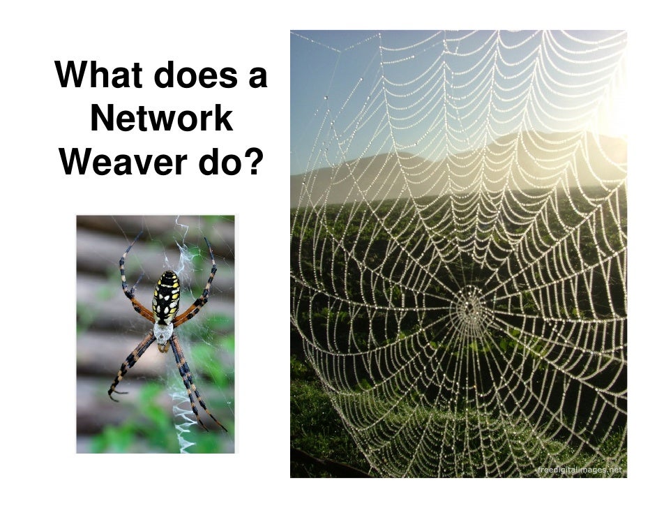 What Does A Network Weaver Do (remix)