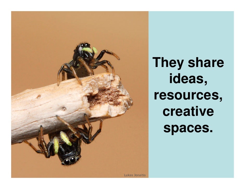 What Does A Network Weaver Do (remix)