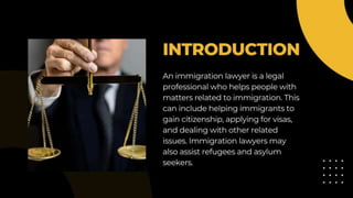What does an immigration lawyer do.pptx