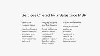 What does a Salesforce Managed Service Provider do? | PDF