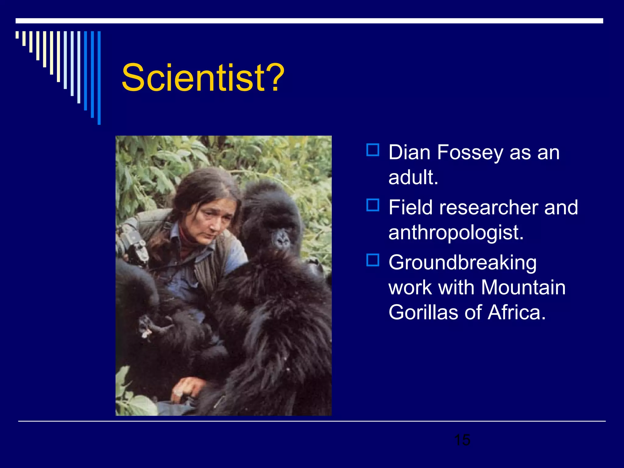 15 
Scientist? 
 Dian Fossey as an 
adult. 
 Field researcher and 
anthropologist. 
 Groundbreaking 
work with Mountain 
Gorillas of Africa. 
 