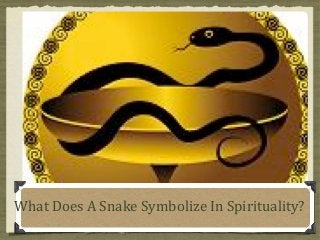 What Does A Snake Symbolize In Spirituality?

 
