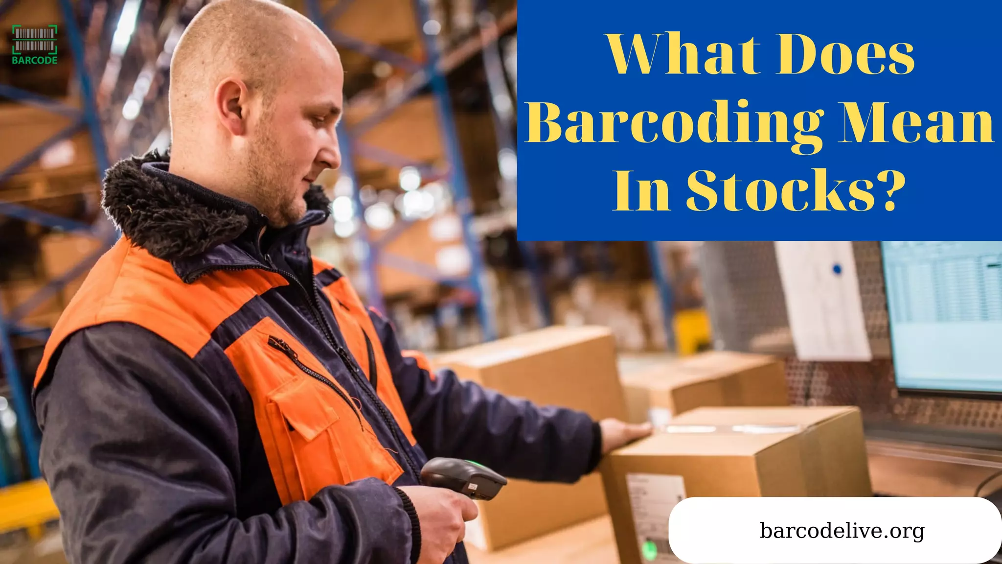 What Does
Barcoding Mean
In Stocks?
barcodelive.org