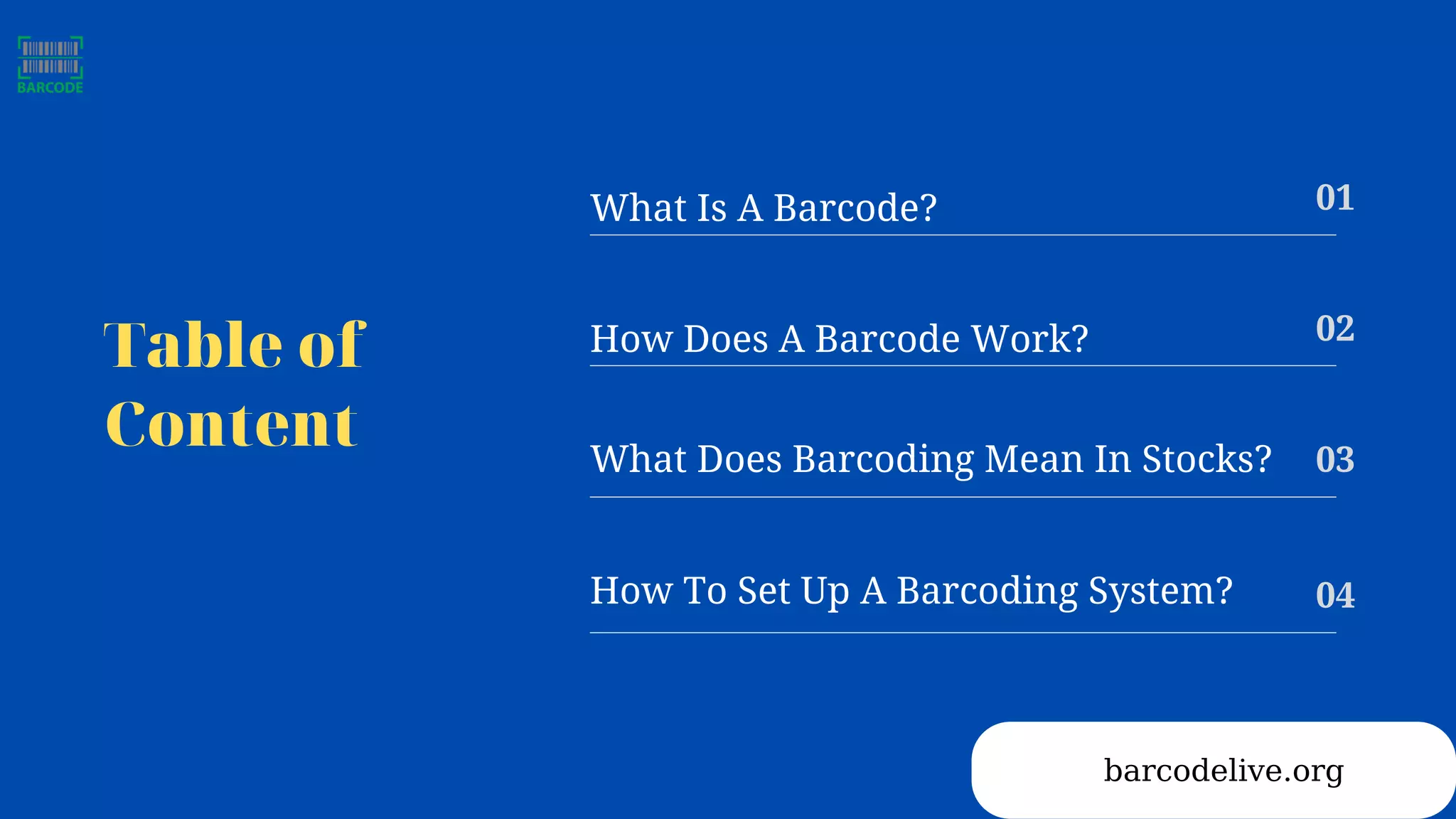 Table of
Content
What Is A Barcode? 01
How Does A Barcode Work? 02
What Does Barcoding Mean In Stocks? 03
How To Set Up A Barcoding System? 04
barcodelive.org