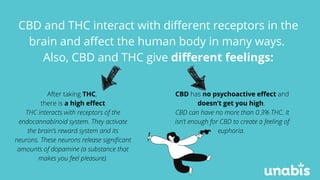 CBD and THC interact with different receptors in the
brain and affect the human body in many ways.
Also, CBD and THC give ...