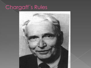 Chargaff´s Rules