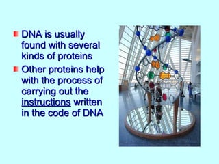 DNA is usually
found with several
kinds of proteins
Other proteins help
with the process of
carrying out the
instructions written
in the code of DNA
 