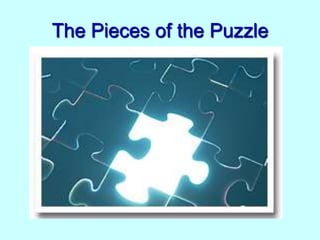 The Pieces of the Puzzle

 