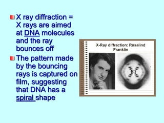 X ray diffraction =
X rays are aimed
at DNA molecules
and the ray
bounces off
The pattern made
by the bouncing
rays is captured on
film, suggesting
that DNA has a
spiral shape
 