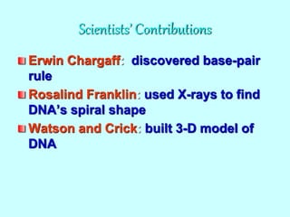 Scientists’ Contributions
Erwin Chargaff: discovered base-pair
rule
Rosalind Franklin: used X-rays to find
DNA’s spiral shape
Watson and Crick: built 3-D model of
DNA
 
