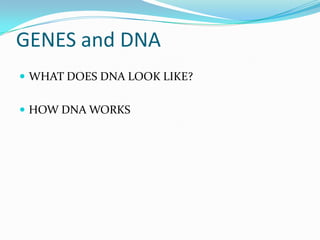 GENES and DNA WHAT DOES DNA LOOK LIKE? HOW DNA WORKS 