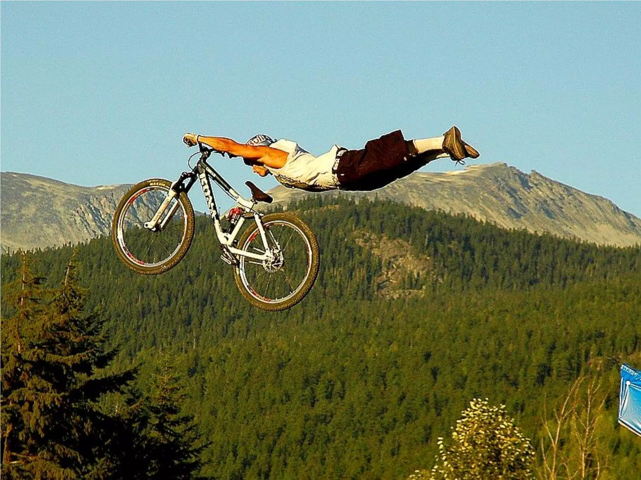 What Does Freedom Mean To You