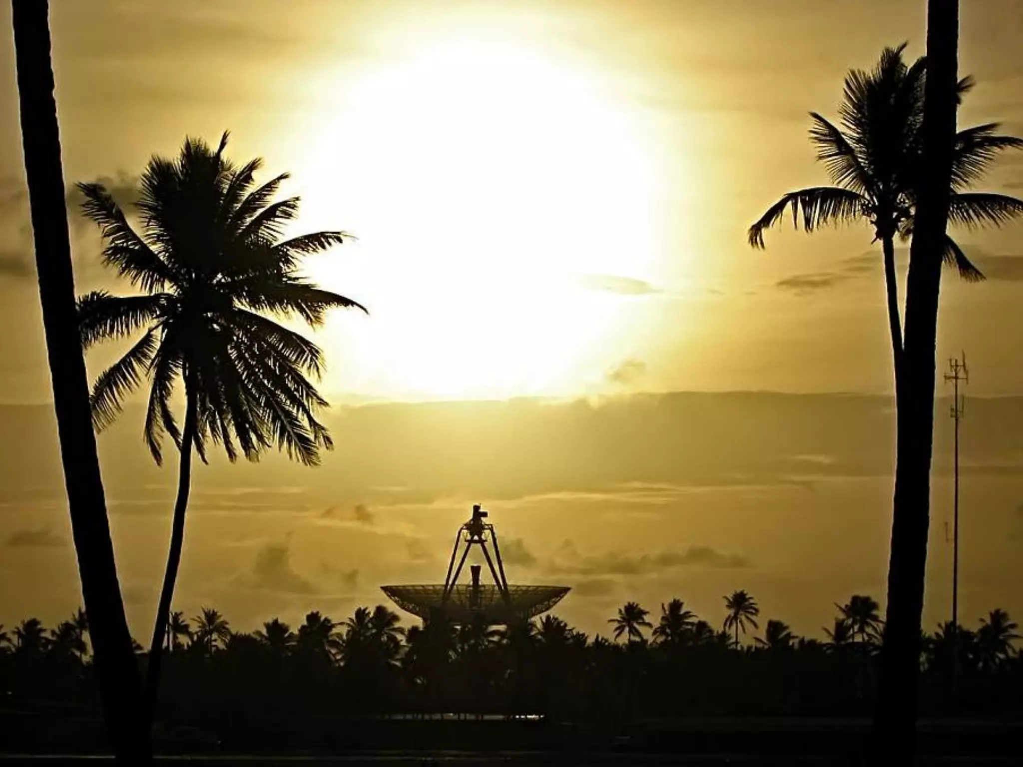 What Does Freedom Mean To You