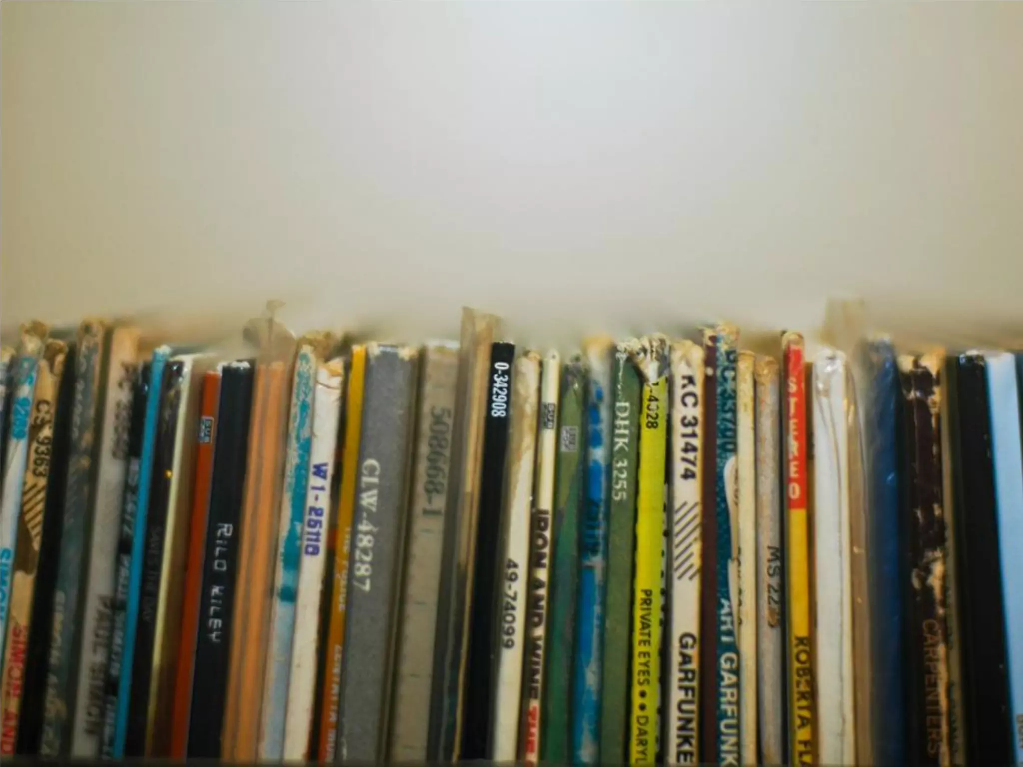 What Does Freedom Mean To You