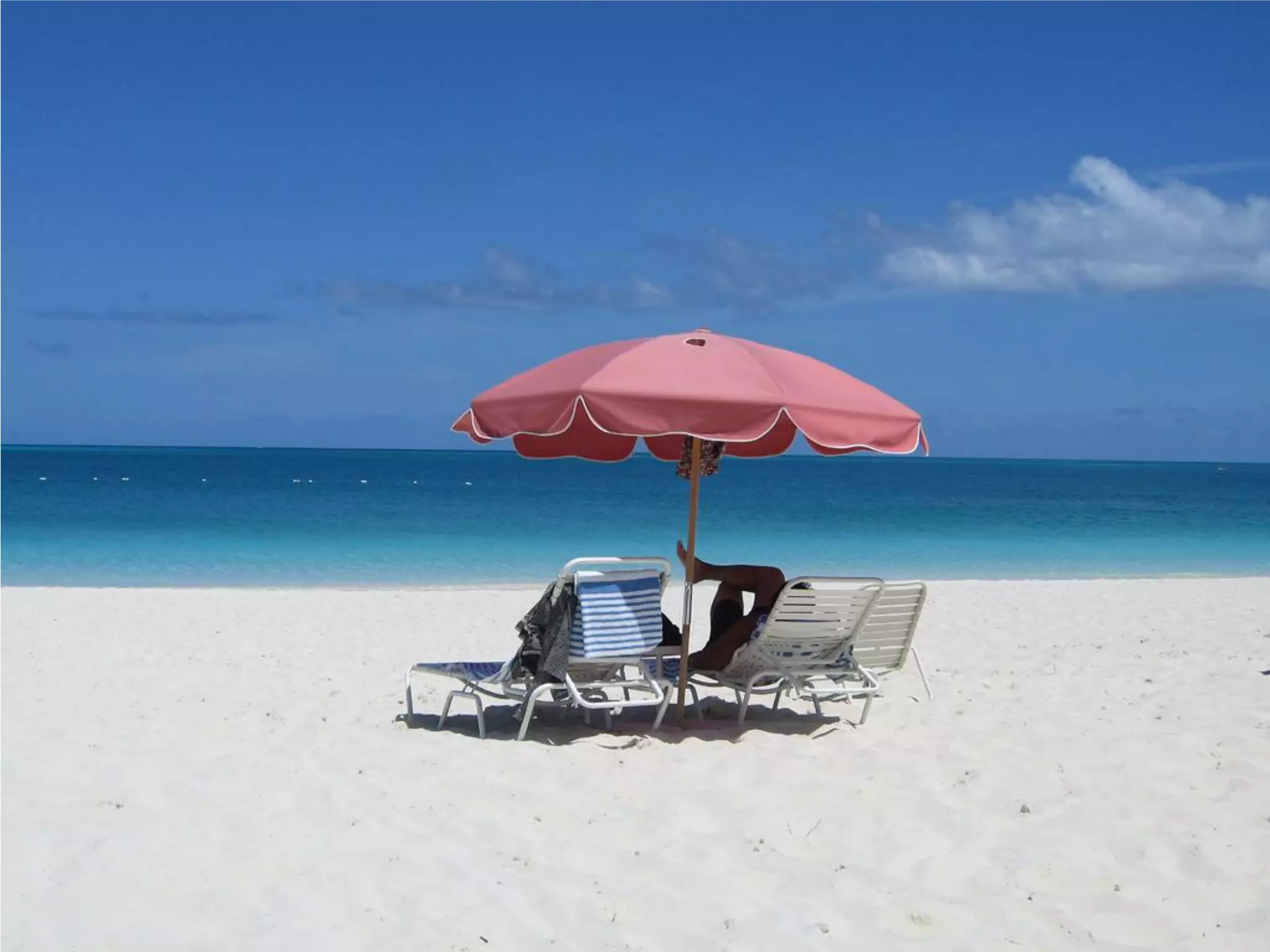 What Does Freedom Mean To You