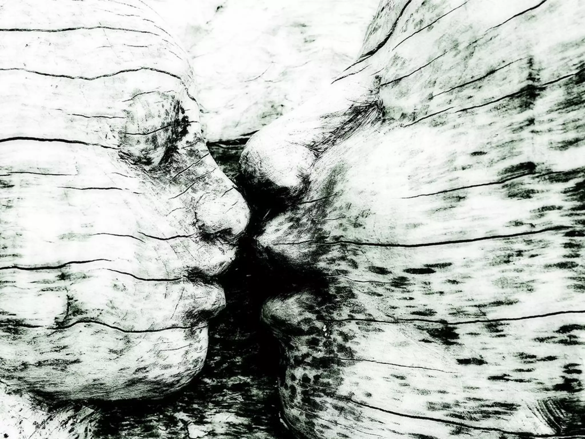 What Does Freedom Mean To You