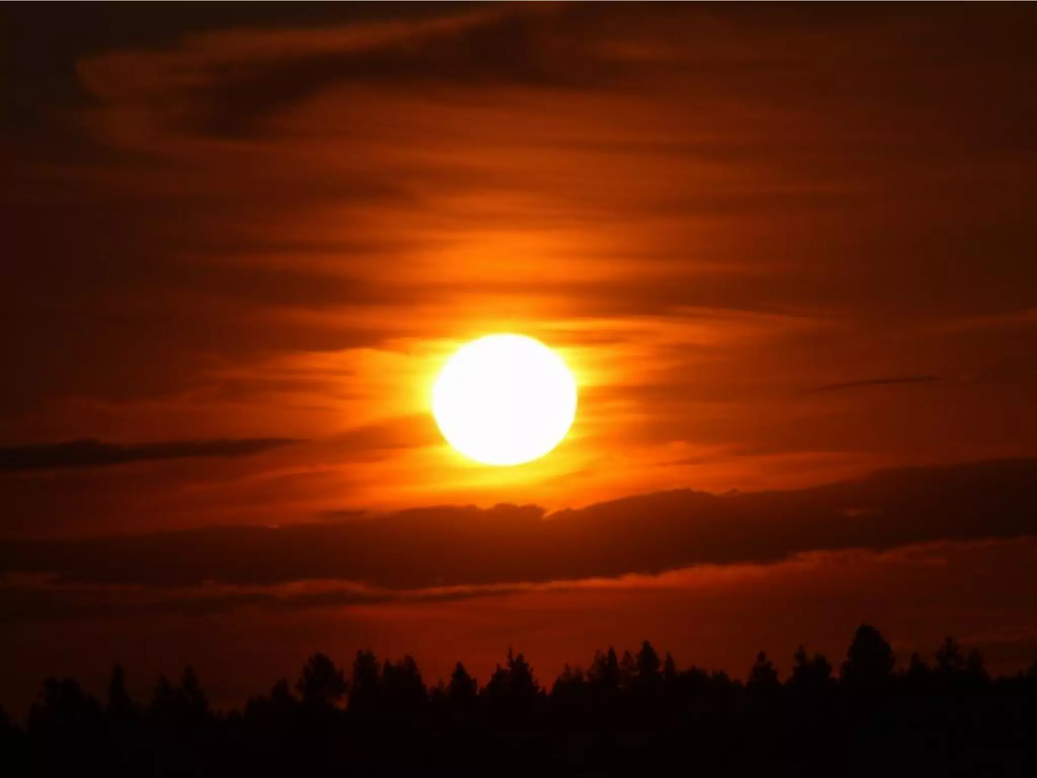 What Does Freedom Mean To You