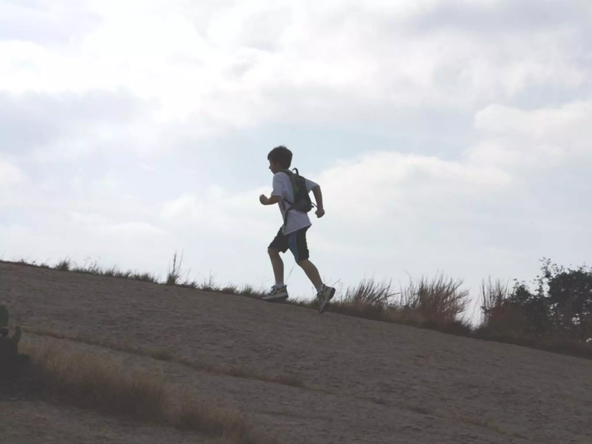 What Does Freedom Mean To You