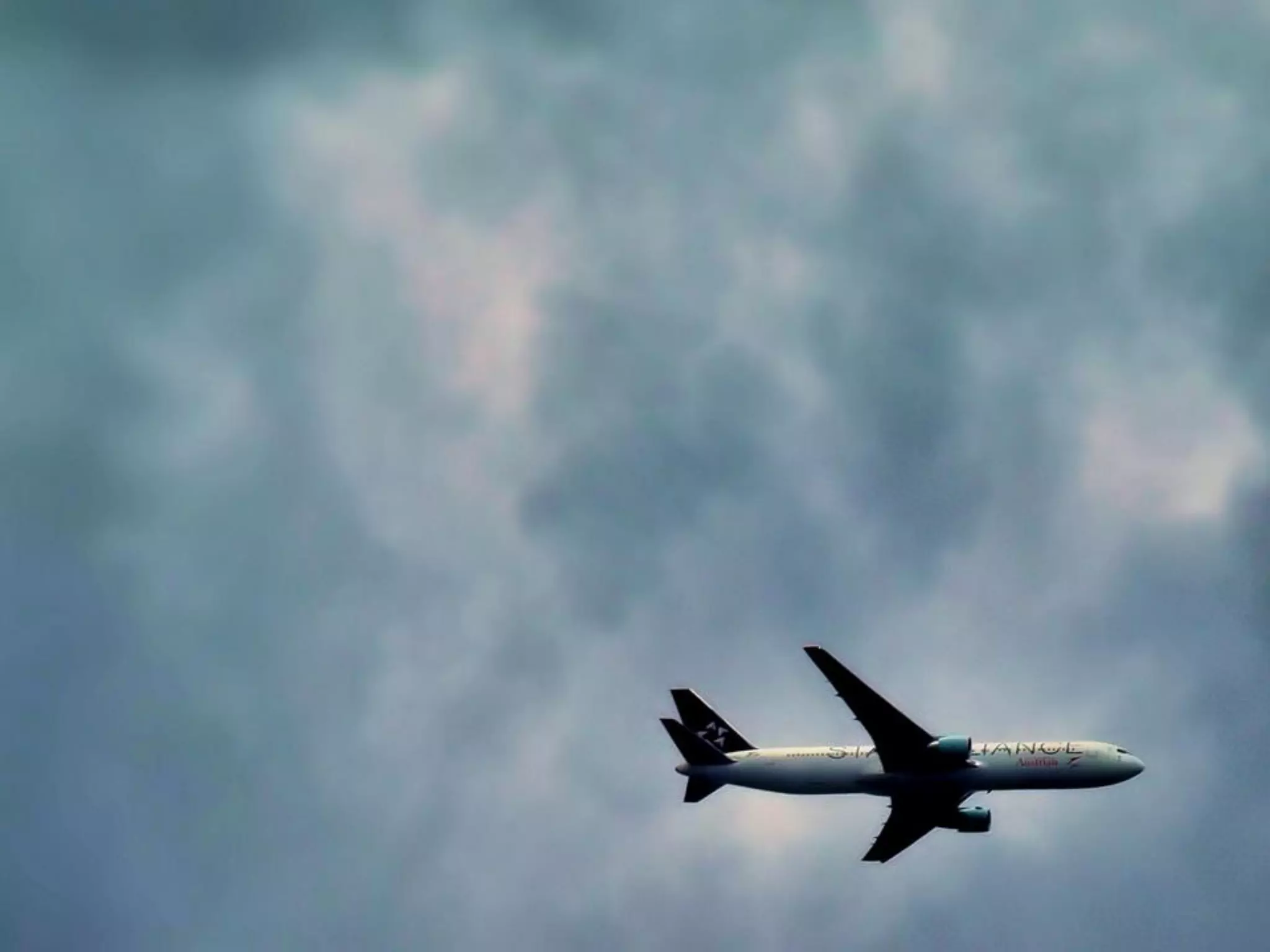 What Does Freedom Mean To You