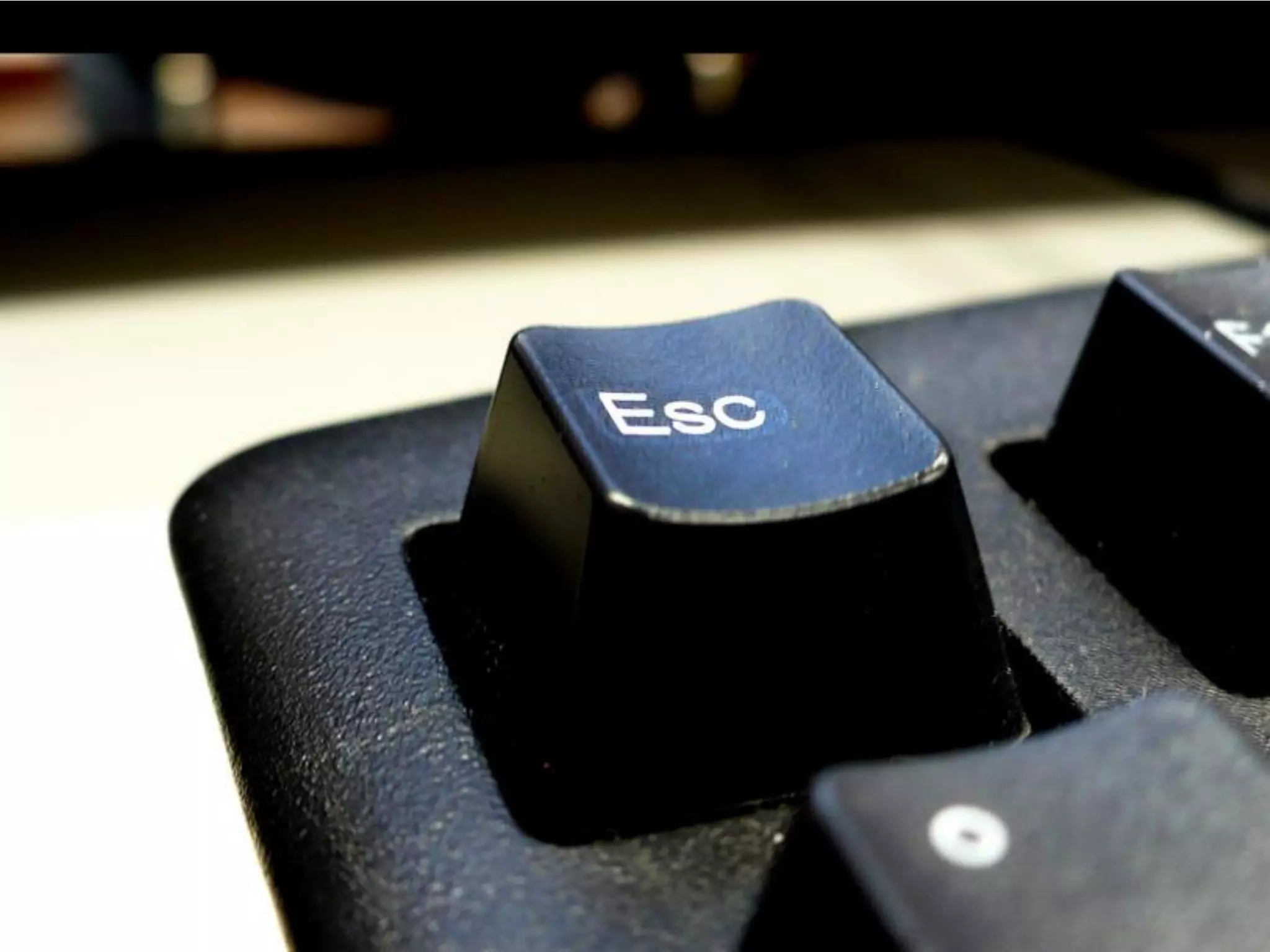 What Does Freedom Mean To You