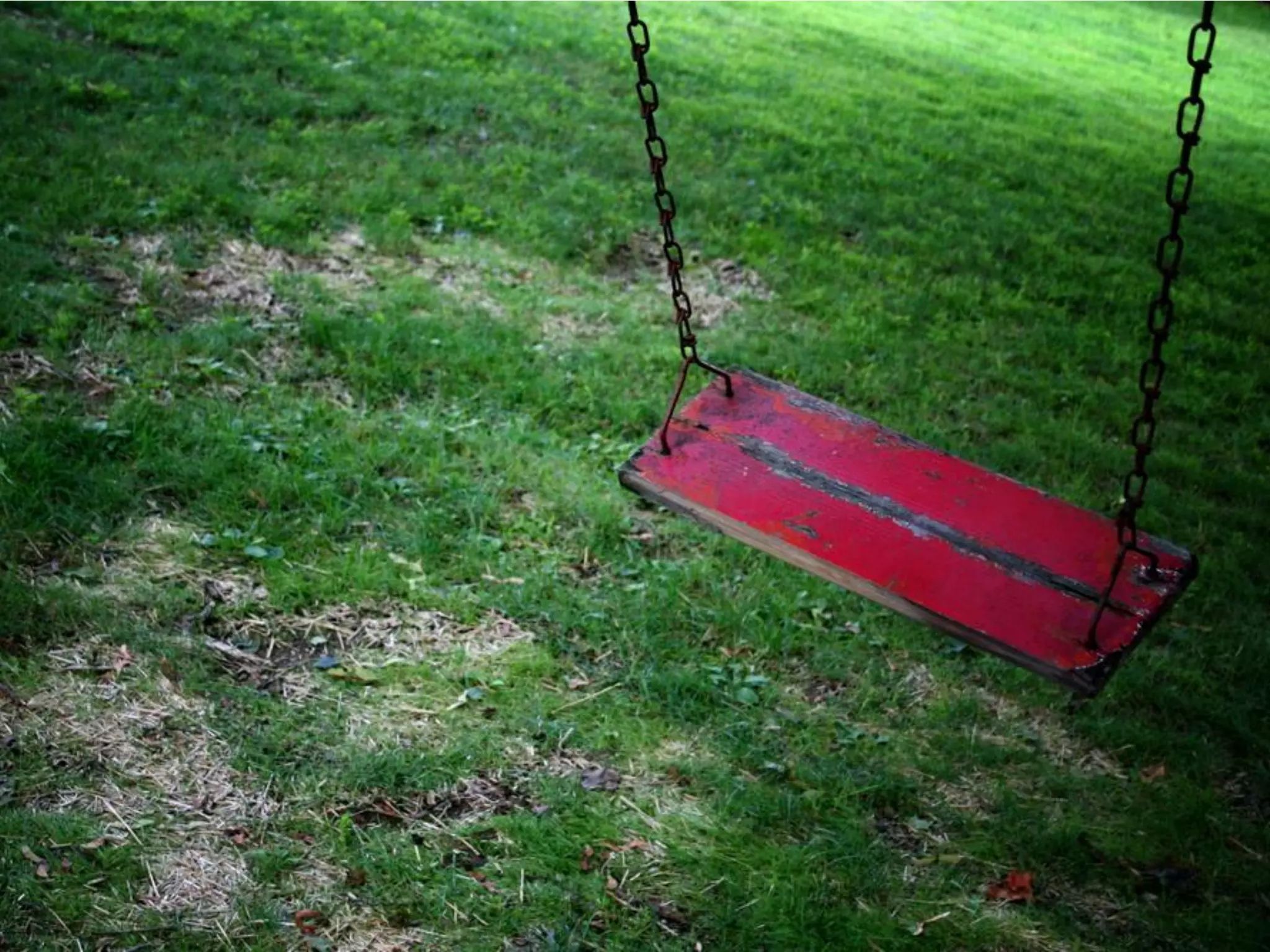 What Does Freedom Mean To You