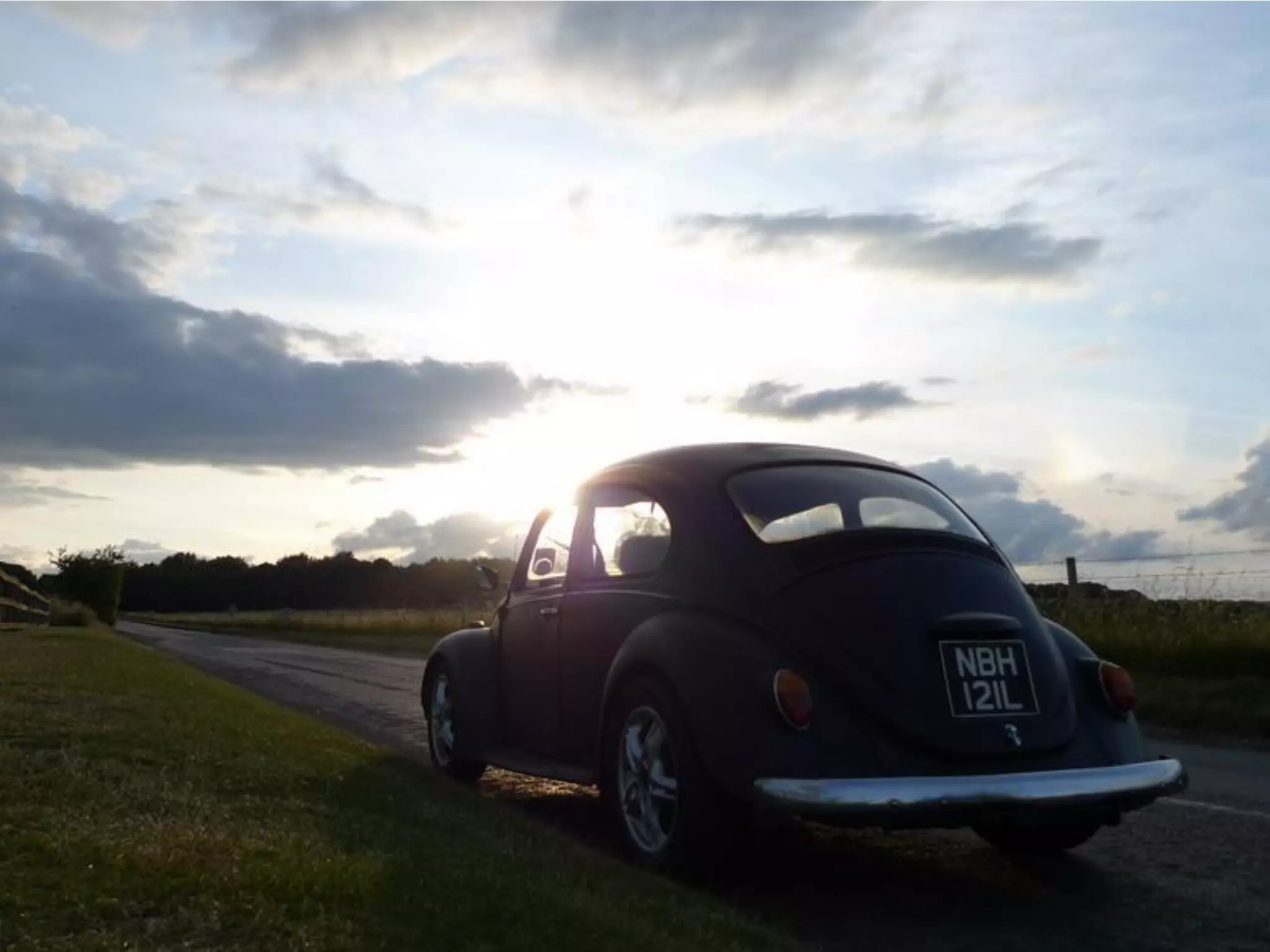 What Does Freedom Mean To You