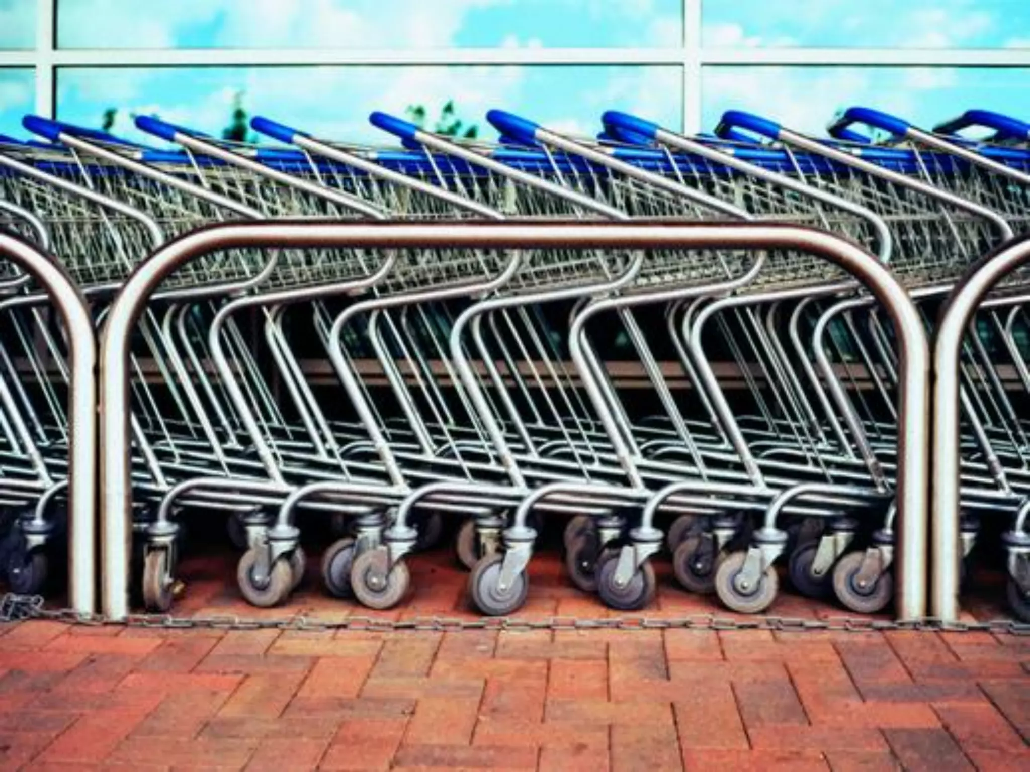 What does freedom mean to you