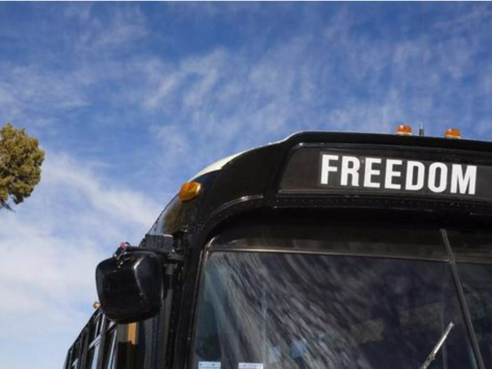 What does freedom mean to you