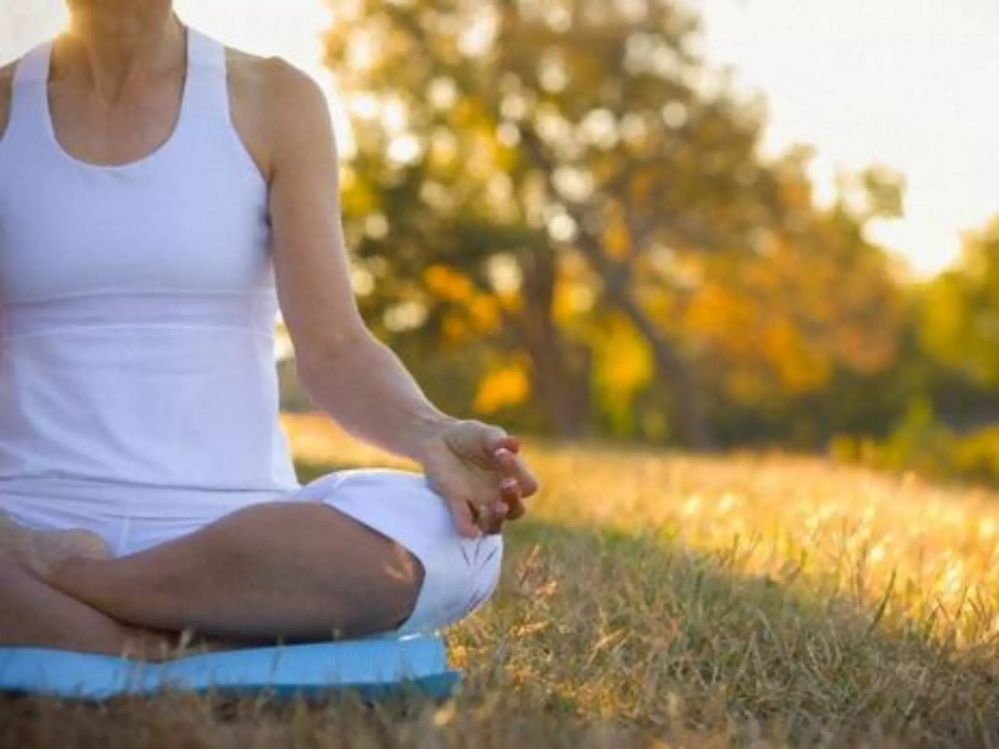 What does freedom mean to you