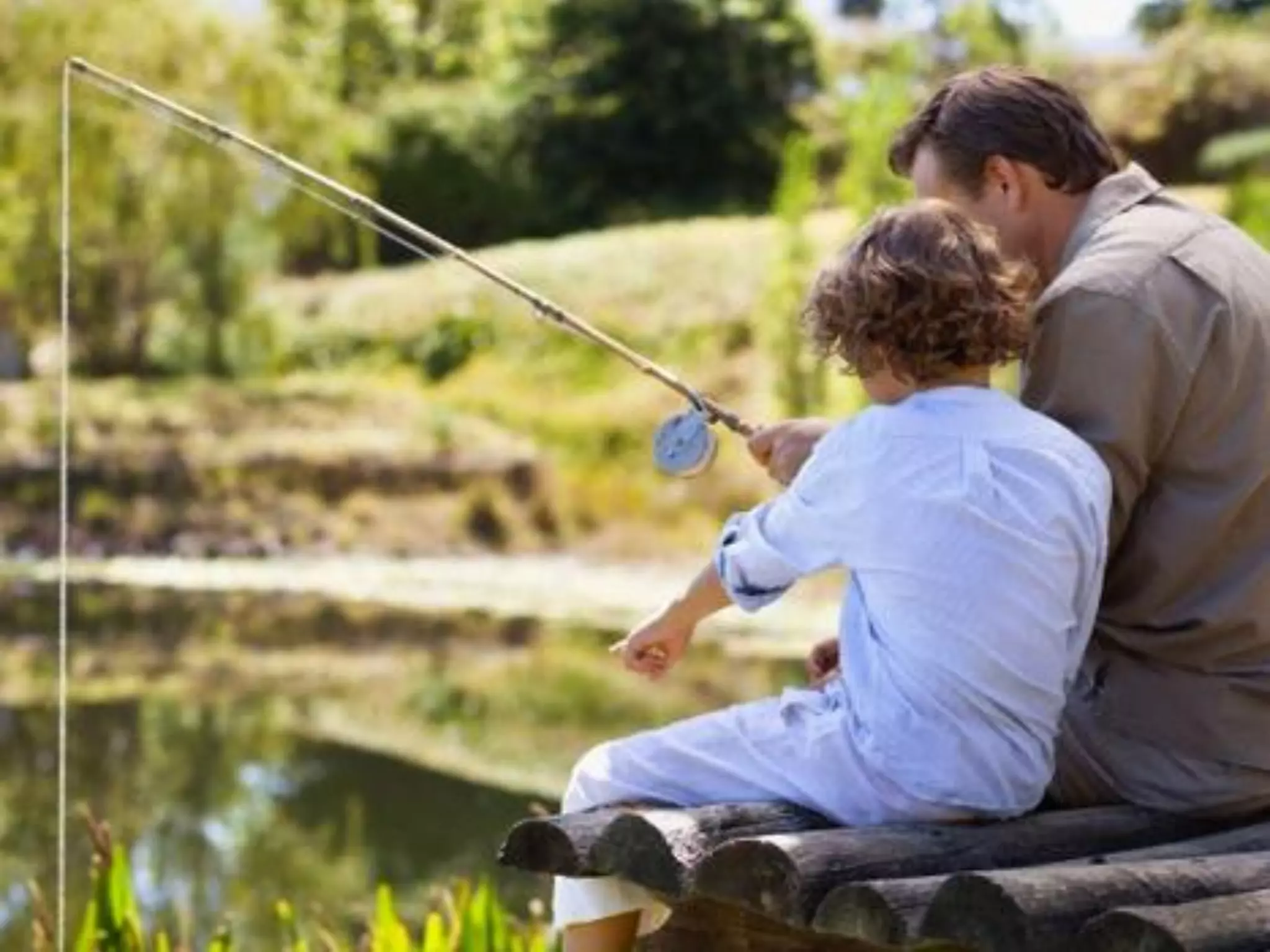 What does freedom mean to you