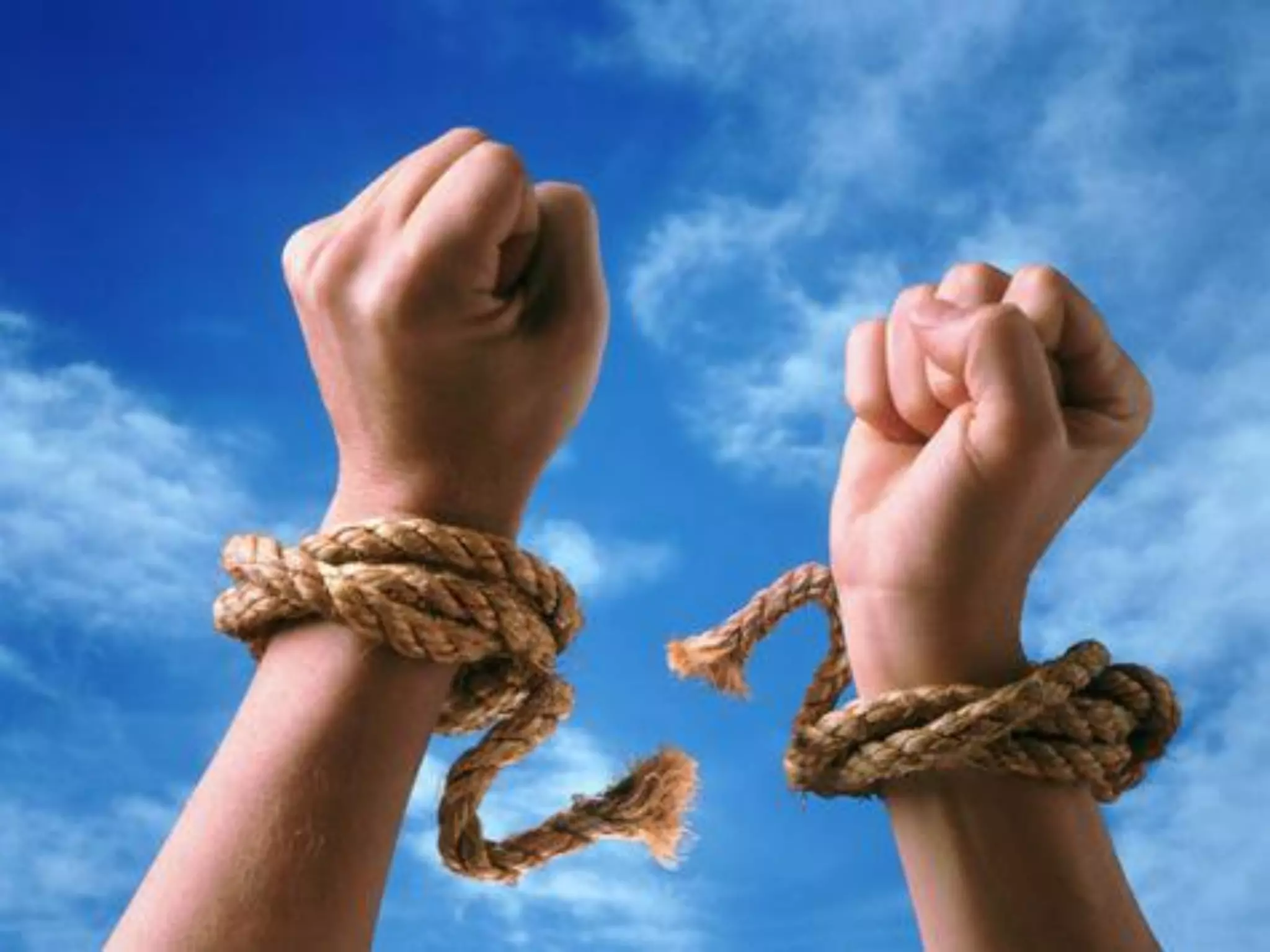 What does freedom mean to you