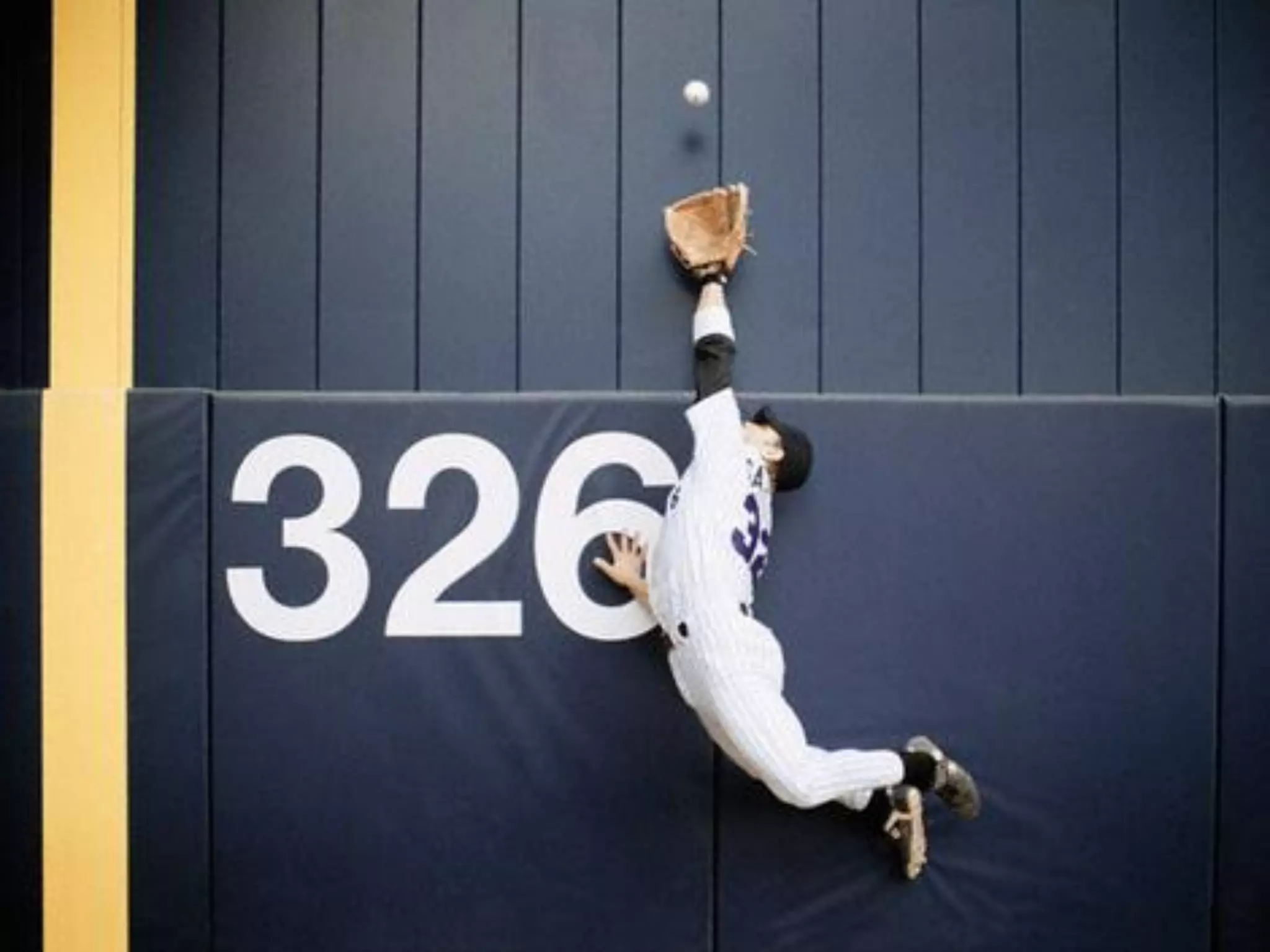 What does freedom mean to you