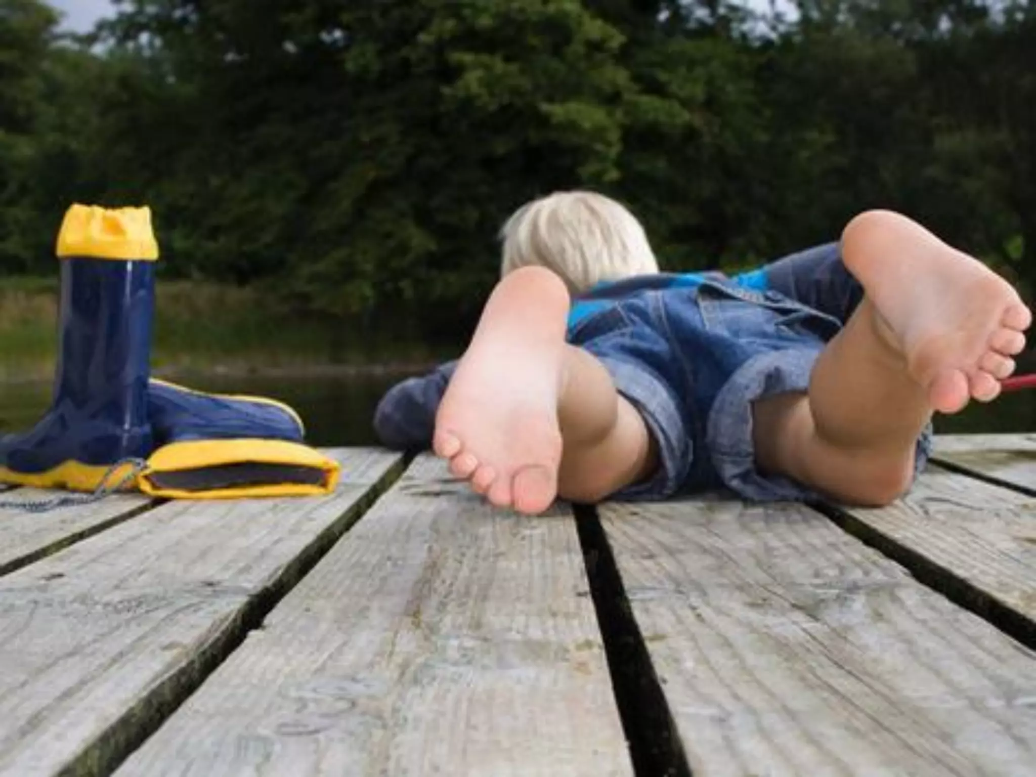 What does freedom mean to you