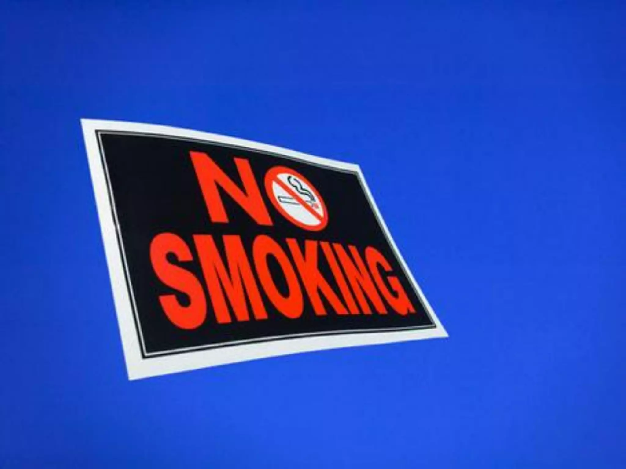 What does freedom mean to you