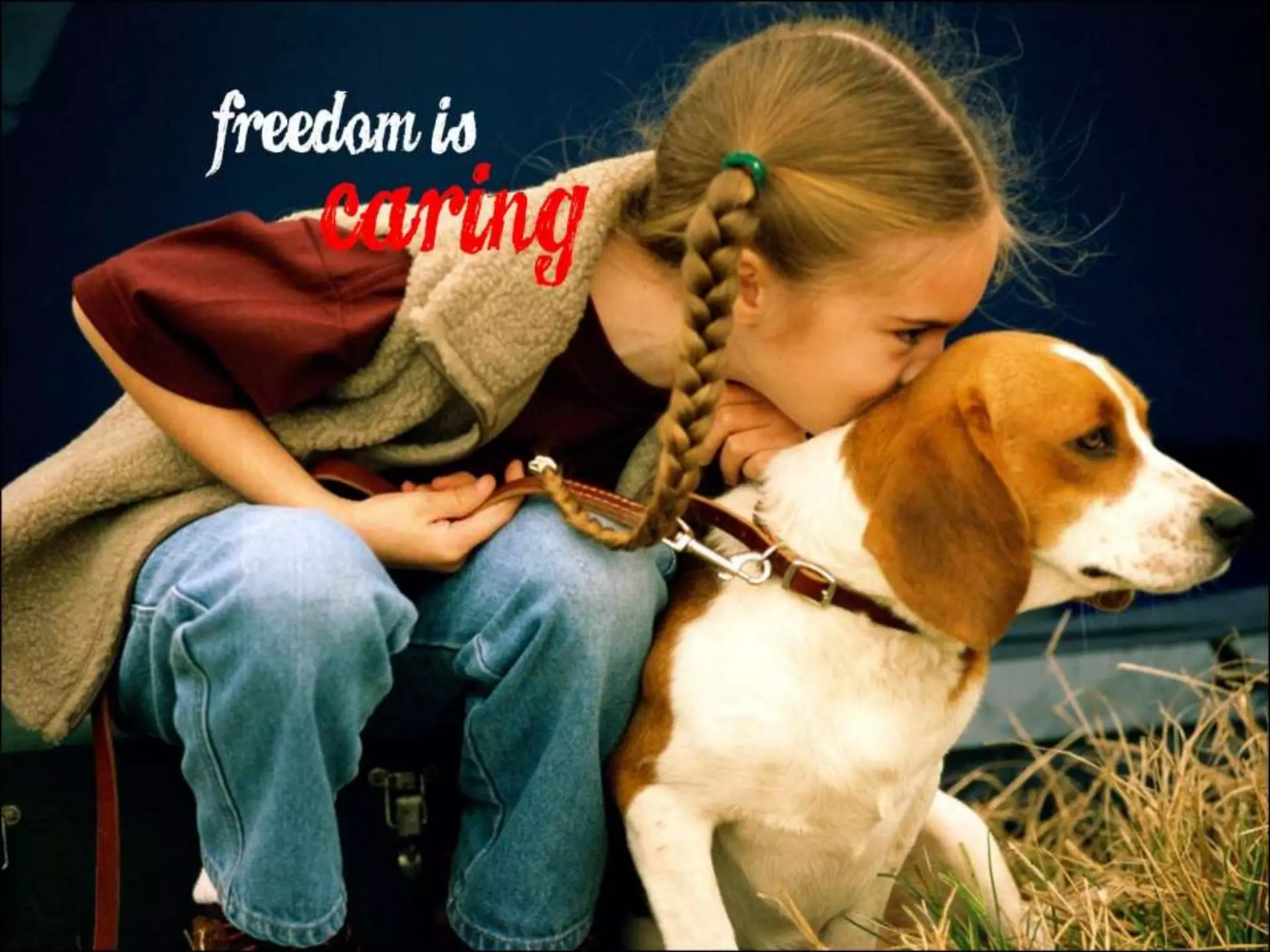 What Does Freedom Mean to You