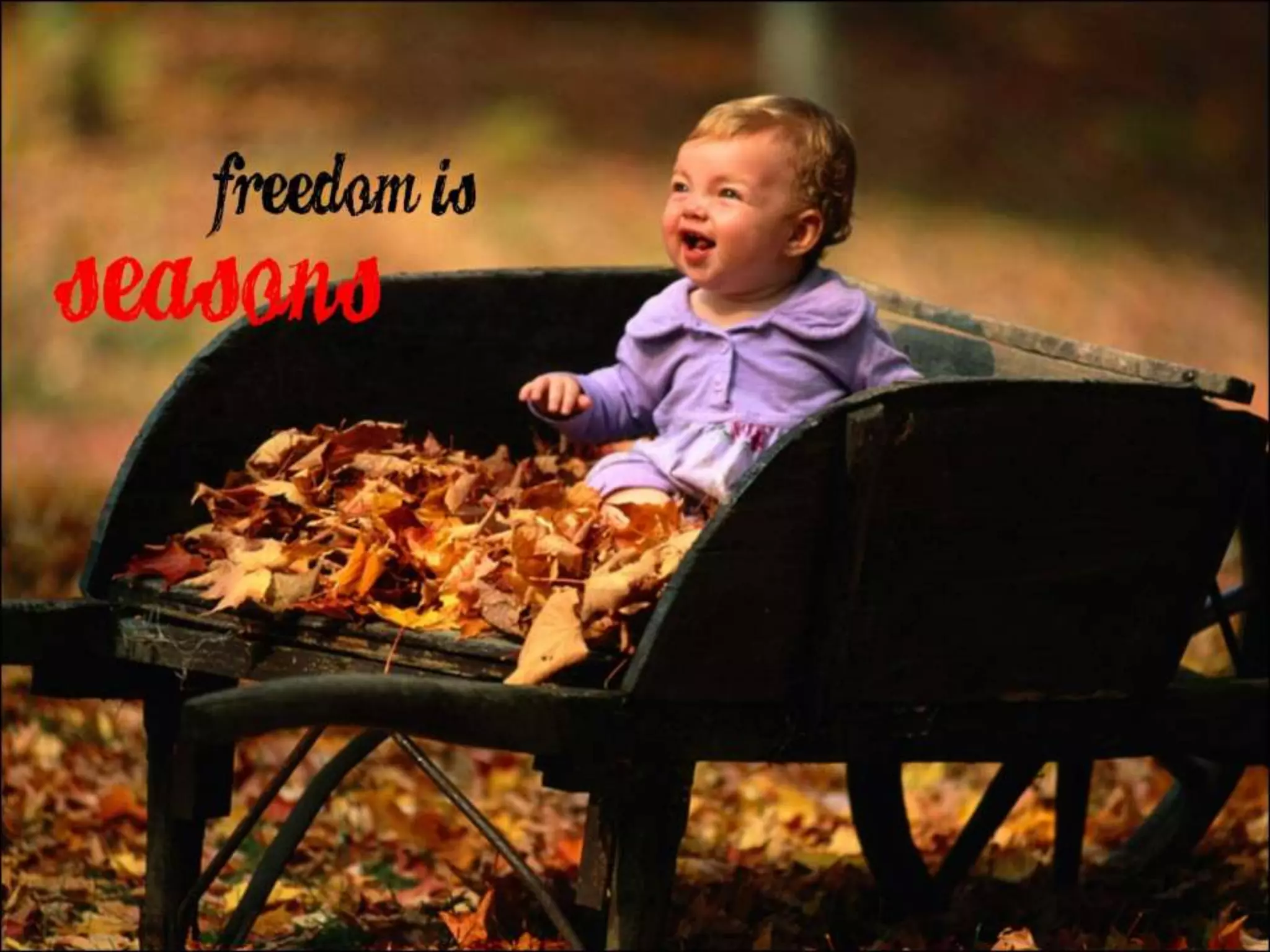 What Does Freedom Mean to You
