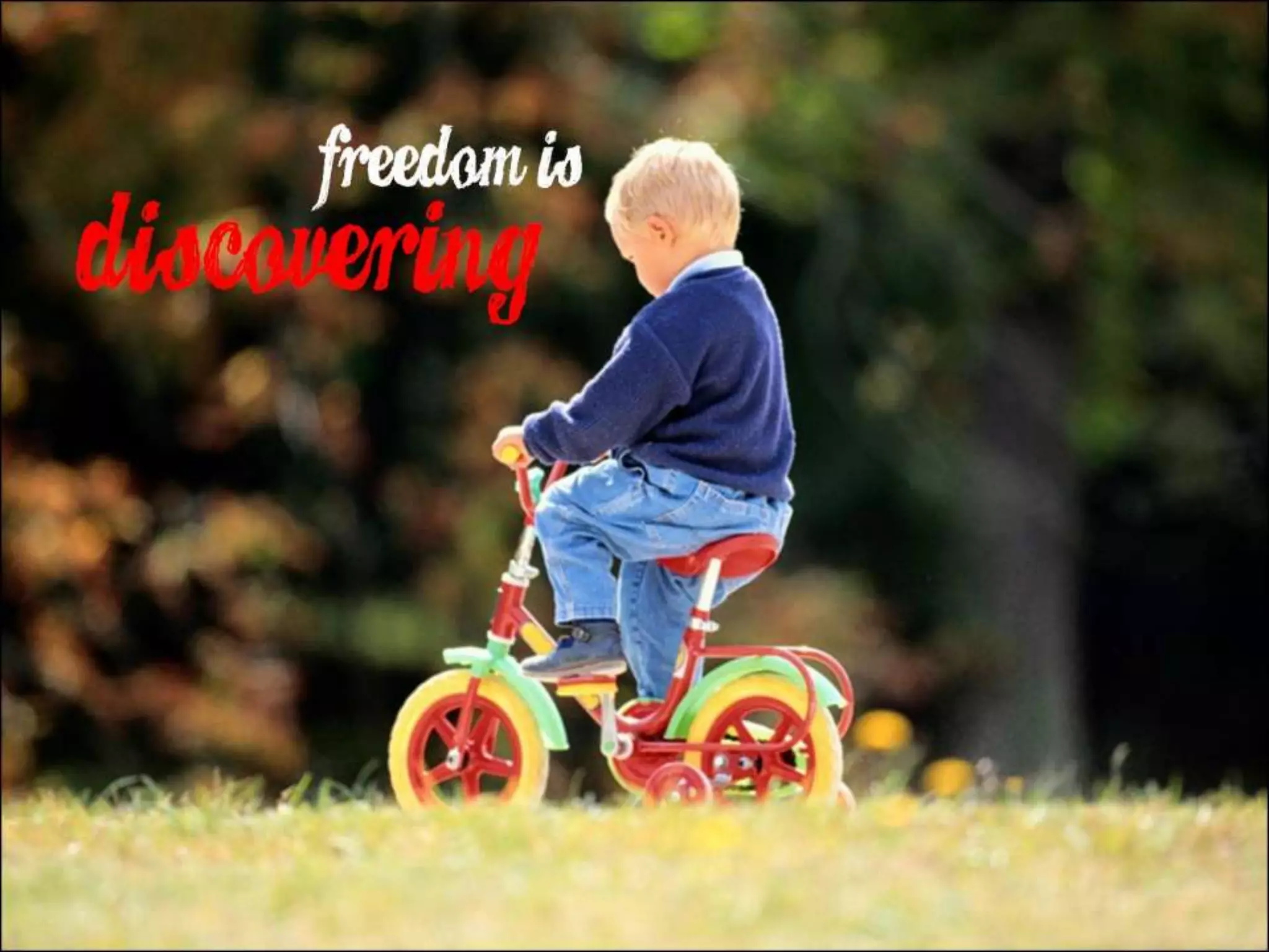 What Does Freedom Mean to You